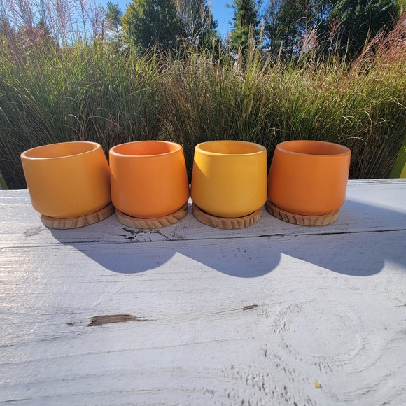 Other - Orange & Yellow Succulent Planters ~ Vases  Candle Holders Boho  Cottage FINAL!